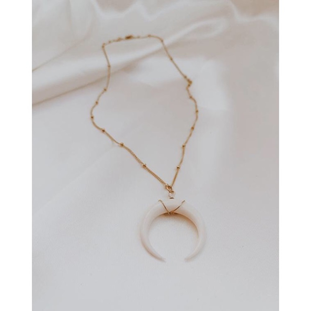 ✨ Truly Blessed Jewels ✨ Horn Necklace